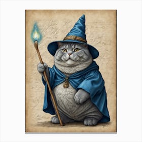 Wizard Cat 2 Canvas Print