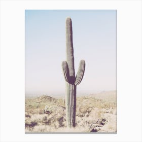 Saguaro Cactus In Arizona Canvas Print