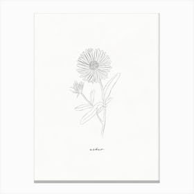 Aster Line Drawing Canvas Print