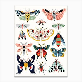 Colourful Insect Illustration Moth 19 Canvas Print