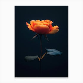 Orange Rose 25 Canvas Print