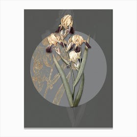 Vintage Botanical Elder Scented Iris on Circle Gray on Gray n.0184 Canvas Print