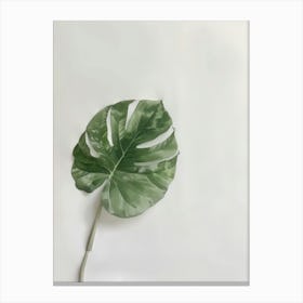 Monstera Leaf 1 Canvas Print