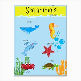 Sea Animals Canvas Print