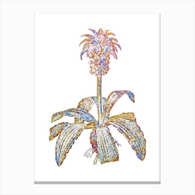Stained Glass Eucomis Regia Mosaic Botanical Illustration on White n.0078 Canvas Print