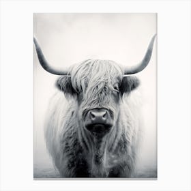 Black & White Stippling Illustration Of Highland Cow 1 Canvas Print