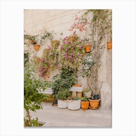 Potted Plants In A Courtyard, street in Puglia, Italy | travel photography Canvas Print