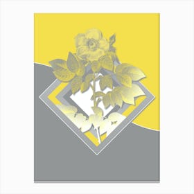 Vintage Leschenault's Rose Botanical Geometric Art in Yellow and Gray n.393 Canvas Print