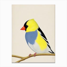 American Goldfinch 2 Illustration Bird Canvas Print