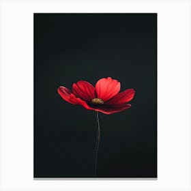 Single Red Flower On Black Background 6 Canvas Print