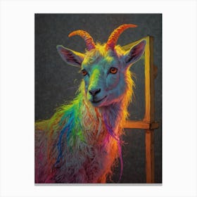 Rainbow Goat 2 Canvas Print