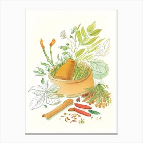 Ginger Spices And Herbs Pencil Illustration Canvas Print