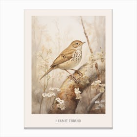 Vintage Bird Drawing Hermit Thrush 1 Poster Canvas Print