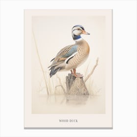 Vintage Bird Drawing Wood Duck 1 Poster Canvas Print