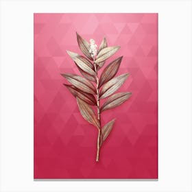 Vintage Smilacina Stellata Botanical in Gold on Viva Magenta n.0792 Canvas Print