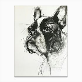 Boston Terrier Dog Charcoal Line 4 Canvas Print