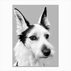 Fox Terrier (Smooth) B&W Pencil dog Canvas Print