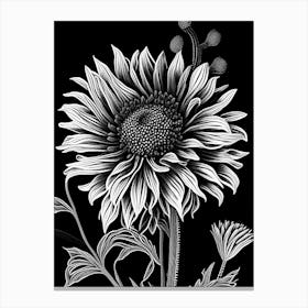 Blanket Flower Wildflower Linocut Canvas Print