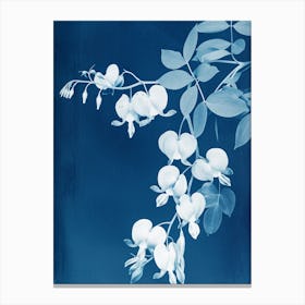 Bleeding Hearts VIII Canvas Print