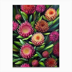 Proteas  Flower Canvas Print
