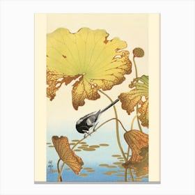 Japanese Wagtail On Lotus Plant (1925 1936), Ohara Koson Canvas Print