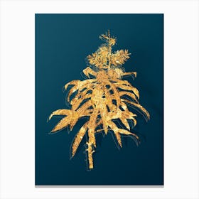 Vintage Pleomele Botanical in Gold on Teal Blue Canvas Print