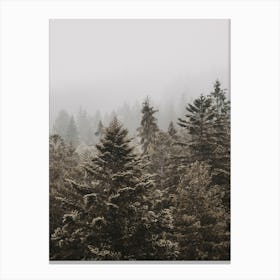 Green Pine Forest Canvas Print