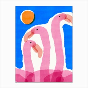 Three Flamingos Canvas Print