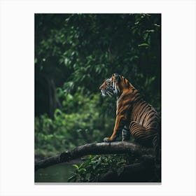 Tiger 1 Canvas Print