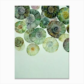 Ammonites Storybook Watercolour Canvas Print