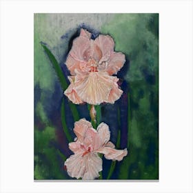 Irises after the rain, acrylic Canvas Print