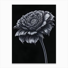 A Carnation In Black White Line Art Vertical Composition 24 Canvas Print