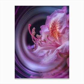 Pink Sensitivity Canvas Print