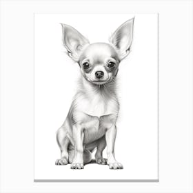 Chihuahua Dog, Line Drawing 2 Canvas Print