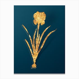 Vintage Mourning Iris Botanical in Gold on Teal Blue n.0068 Canvas Print