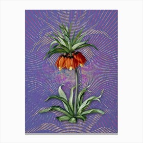 Vintage Fritillaries Botanical Illustration on Veri Peri n.0186 Canvas Print