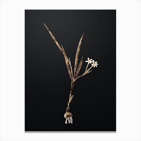 Gold Botanical Gladiolus Inclinatus on Wrought Iron Black n.3936 Canvas Print
