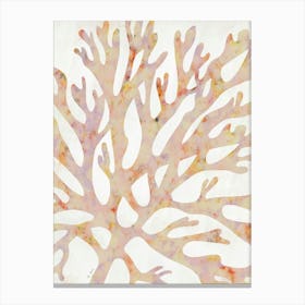 Coral Canvas Print