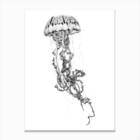 JDotwork Jellyfish Illustration Canvas Print