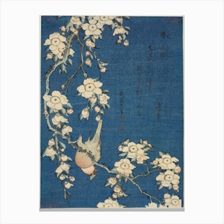 Bullfinch And Weeping Cherrytree Canvas Print