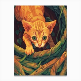 Kitty In The Nest Canvas Print