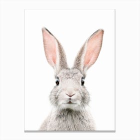 Bunny Face Canvas Print