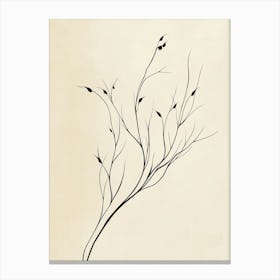 Branch With Leaves Canvas Print