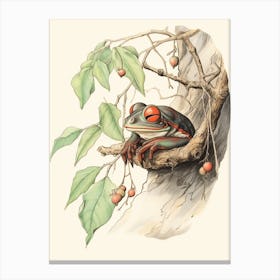 Storybook Animal Watercolour Red Eyed Tree Frog Canvas Print