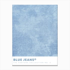 Blue Jeans Print Canvas Print