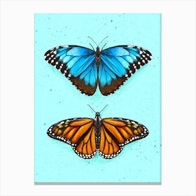 Butterflies Canvas Print