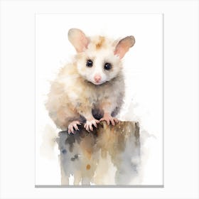 Light Watercolor Painting Of A Posing Possum 1 Canvas Print