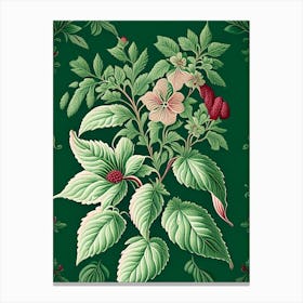 Peppermint 1 Floral Botanical Vintage Poster Flower Canvas Print