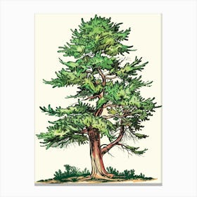 Cypress Tree Storybook Illustration 3 Canvas Print