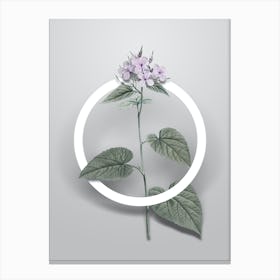 Vintage Morning Glory Flower Minimalist Botanical Geometric Circle on Soft Gray n.0562 Canvas Print